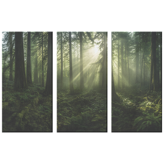 3 Piece Mystical Forest Canvas