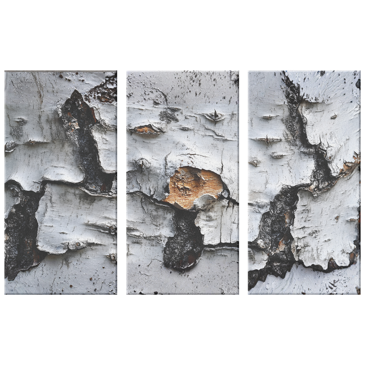 3 Piece Textured Birch Tree Art