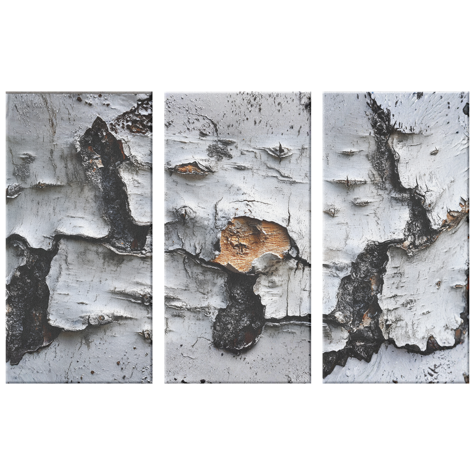 3 Piece Textured Birch Tree Art