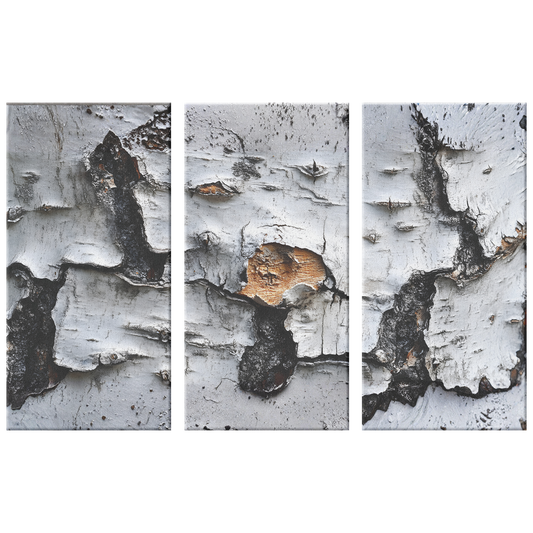 3 Piece Textured Birch Tree Art