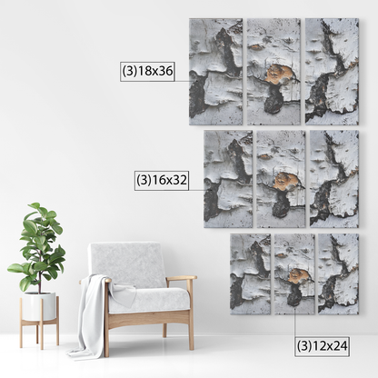 3 Piece Textured Birch Tree Art