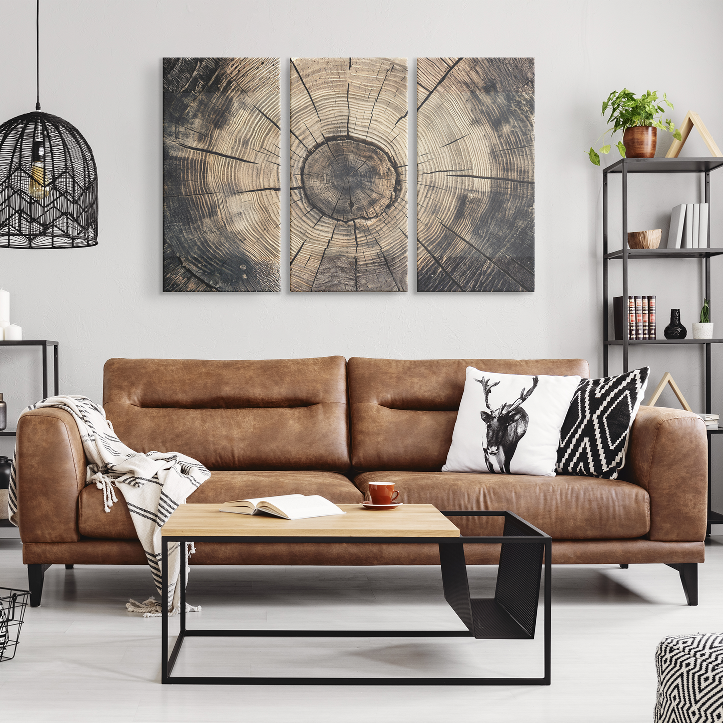 3 Piece peeling bark of a birch tree Art