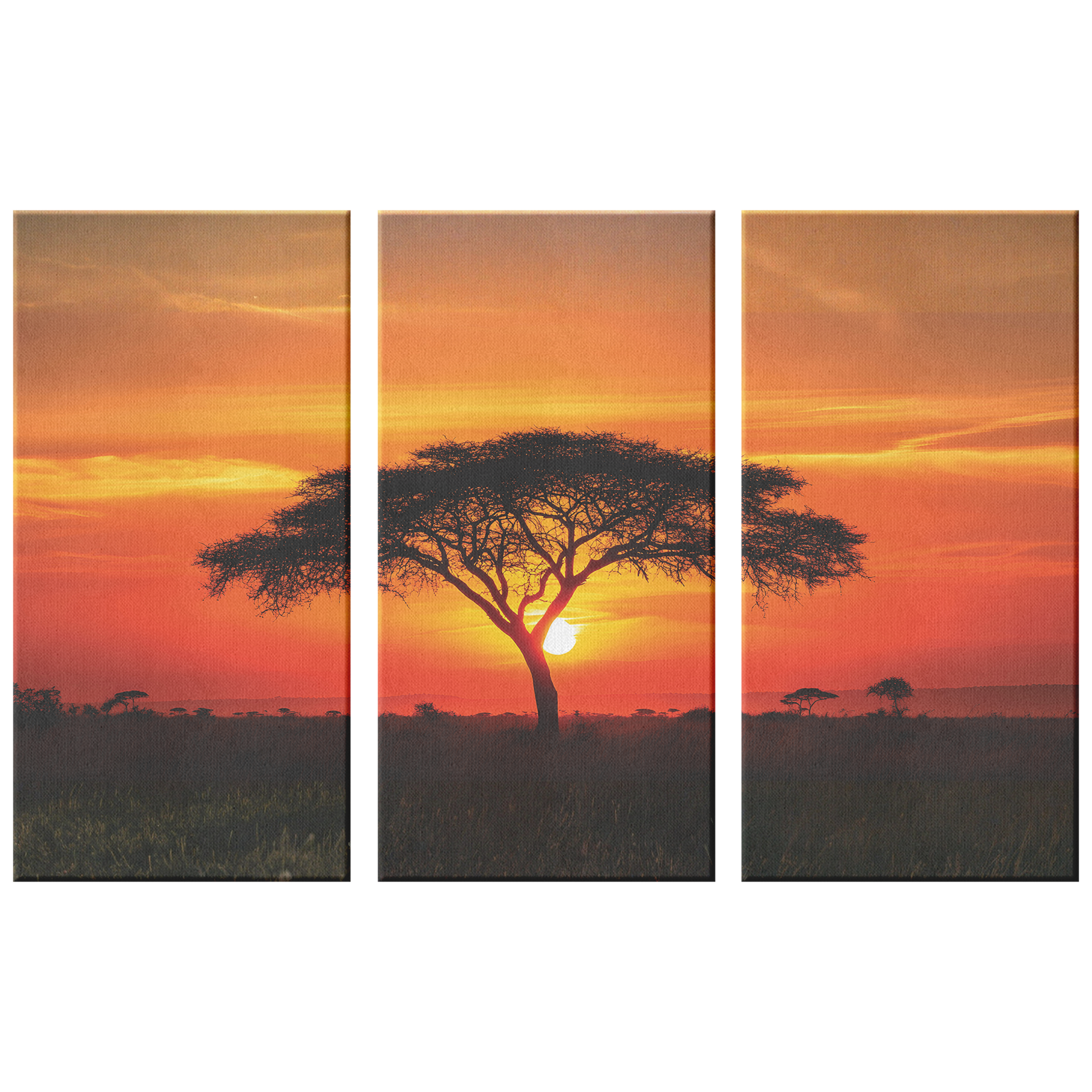 3 piece Sunset Canvas