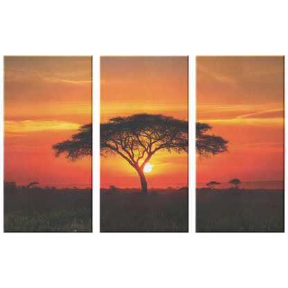 3 piece Sunset Canvas