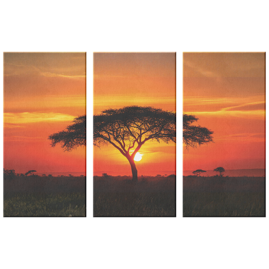 3 piece Sunset Canvas