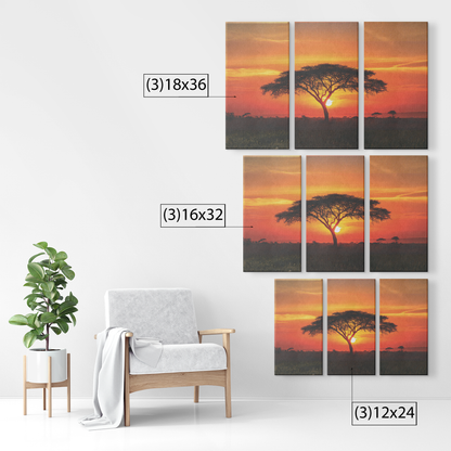 3 piece Sunset Canvas