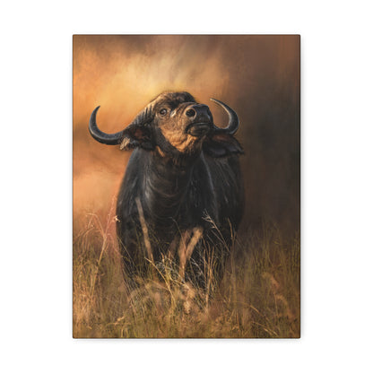 Cape Buffalo in Long Grass at Dusk – By Photographer Patsy Weingart