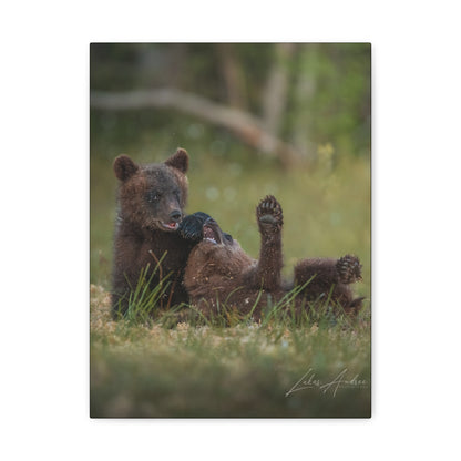 Playful Bear Cubs on Forest Floor – By Photographer Lukas Andersen