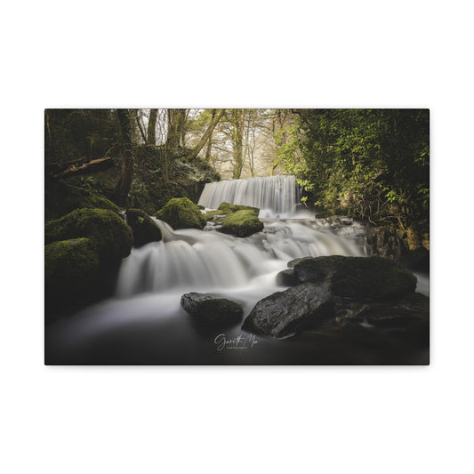 Pwllfanogl Waterfall, Ynys Môn – Sunlight Through the Forest Canopy | By Photographer Gareth Mon Jones