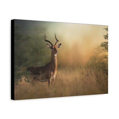 Sunlit Watcher, By Photographer Patsy Weingart