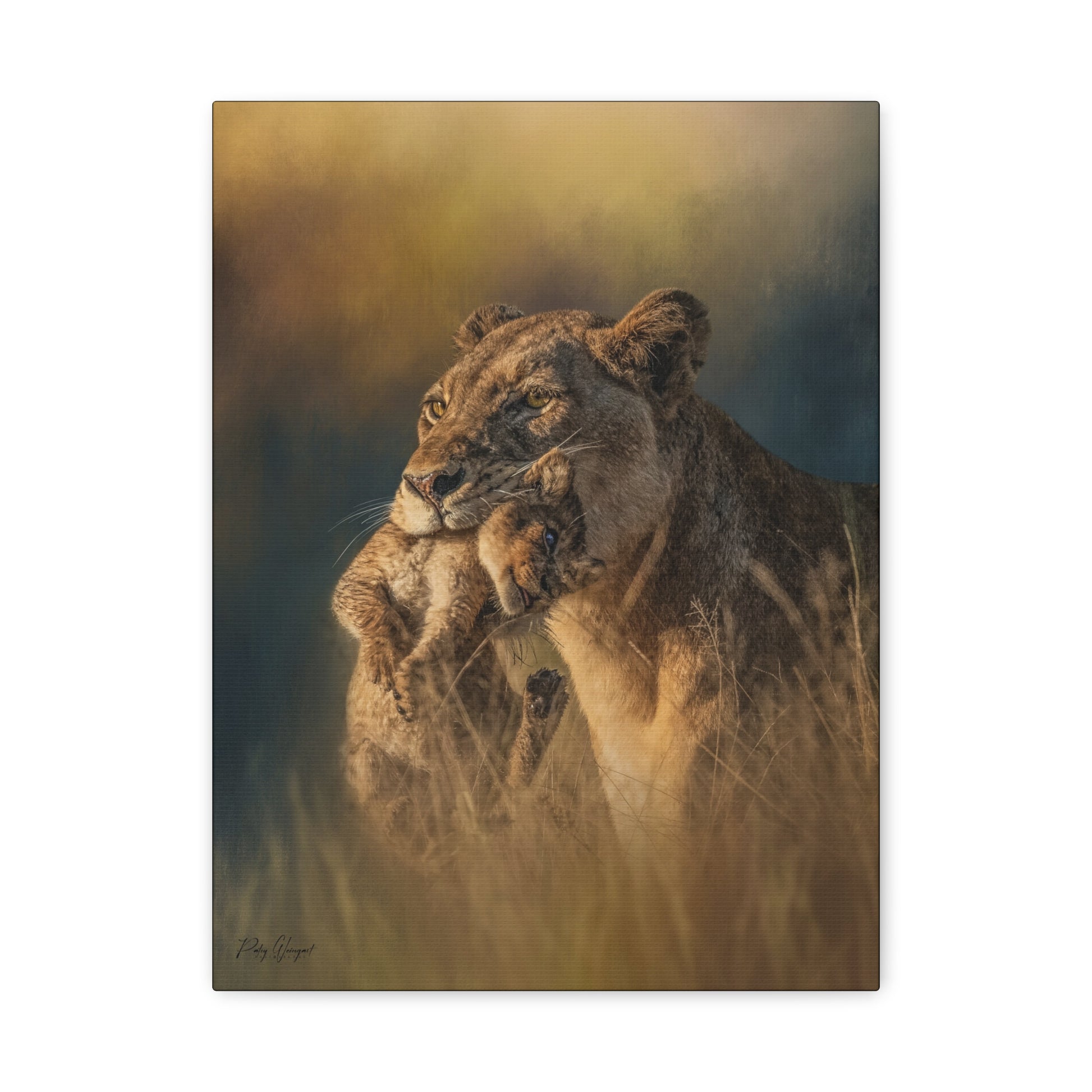 Carried in Love, By Photographer Patsy Weingart