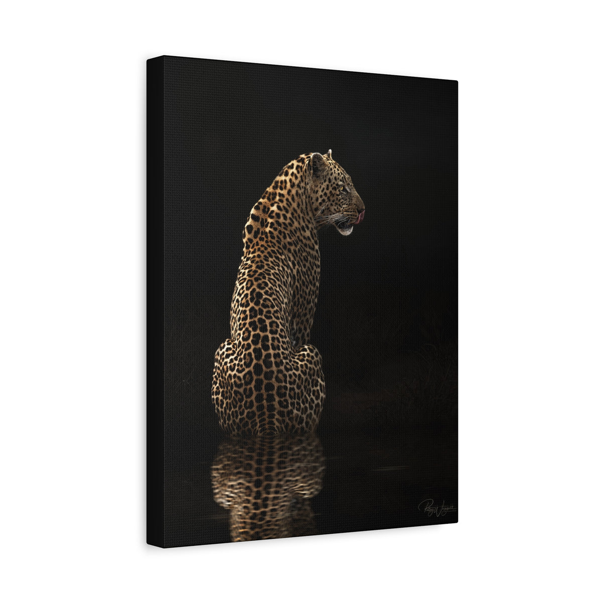 Reflections of Power — By Photographer Patsy Weingart