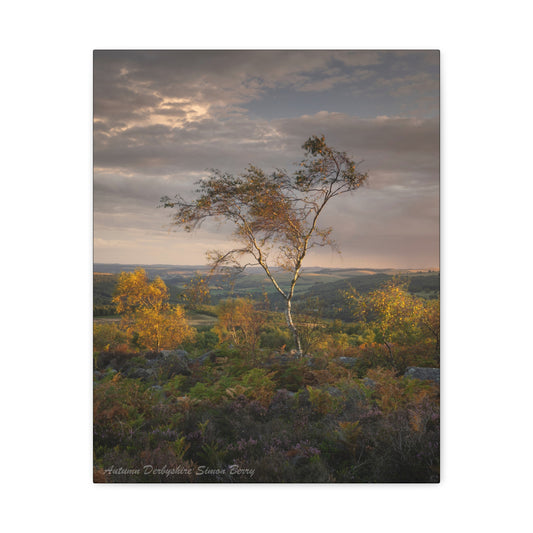 Autumn Glow in the Derbyshire Hills — By Photographer Simon Berry