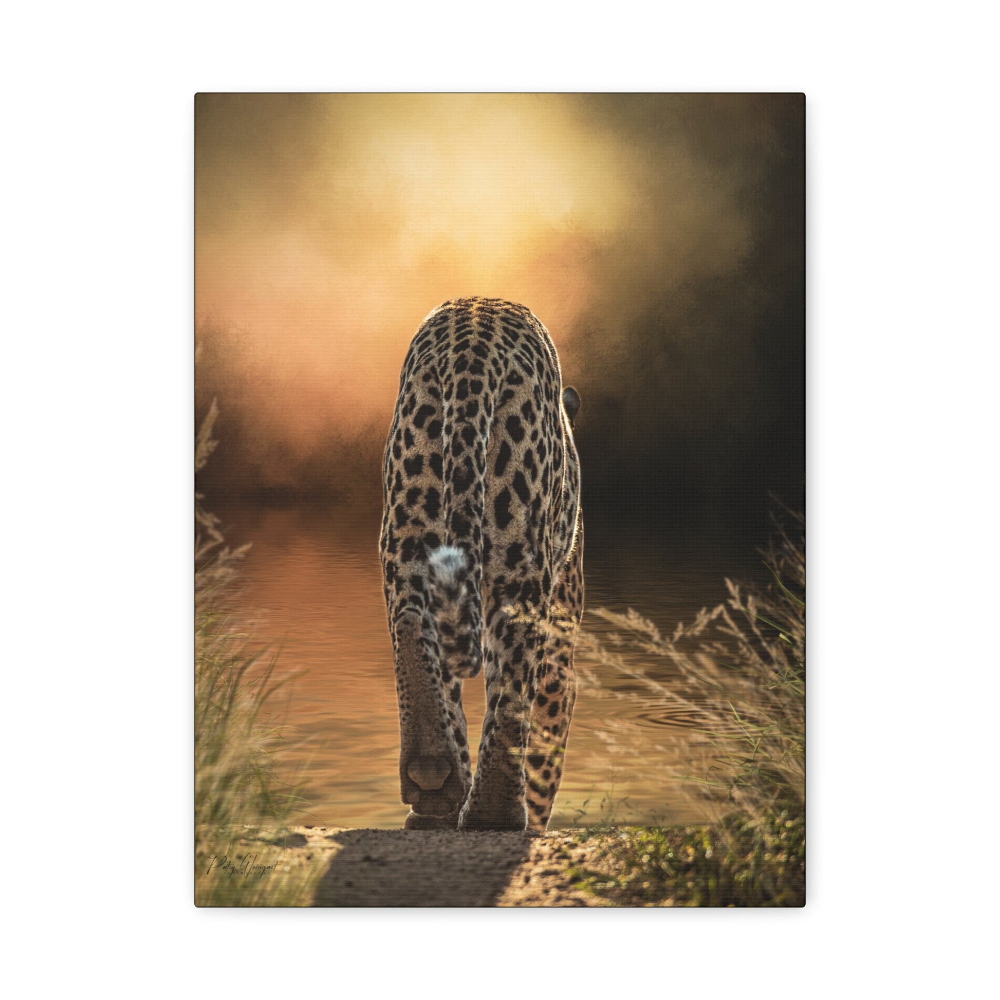 Twilight Approach – Leopard by the Water by Photographer Patsy Weingart