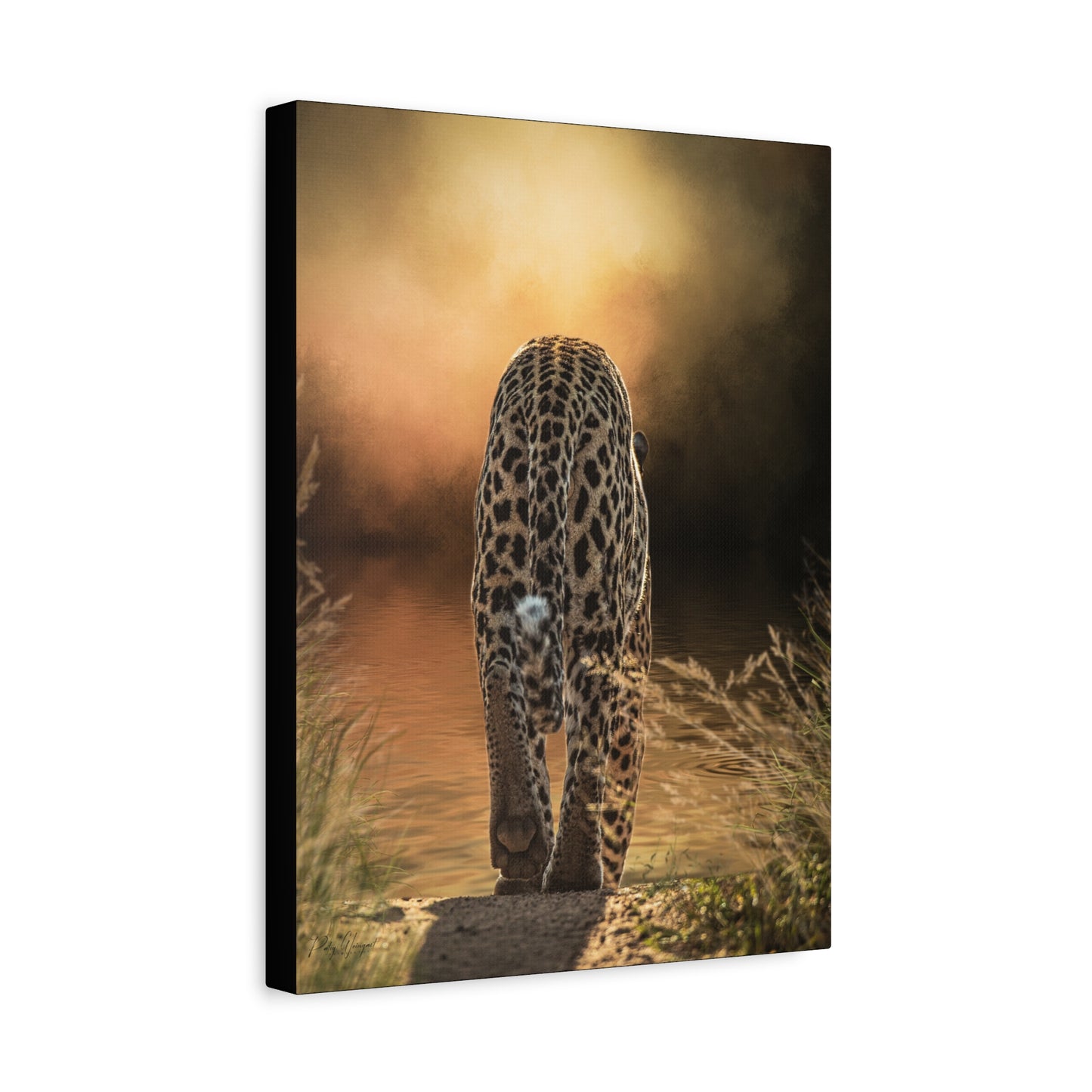 Twilight Approach – Leopard by the Water by Photographer Patsy Weingart