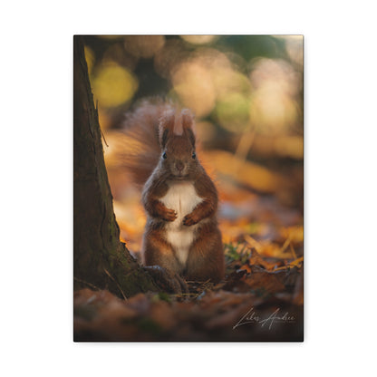 Red Squirrel on Forest Floor — By Photographer Lukas Andersen
