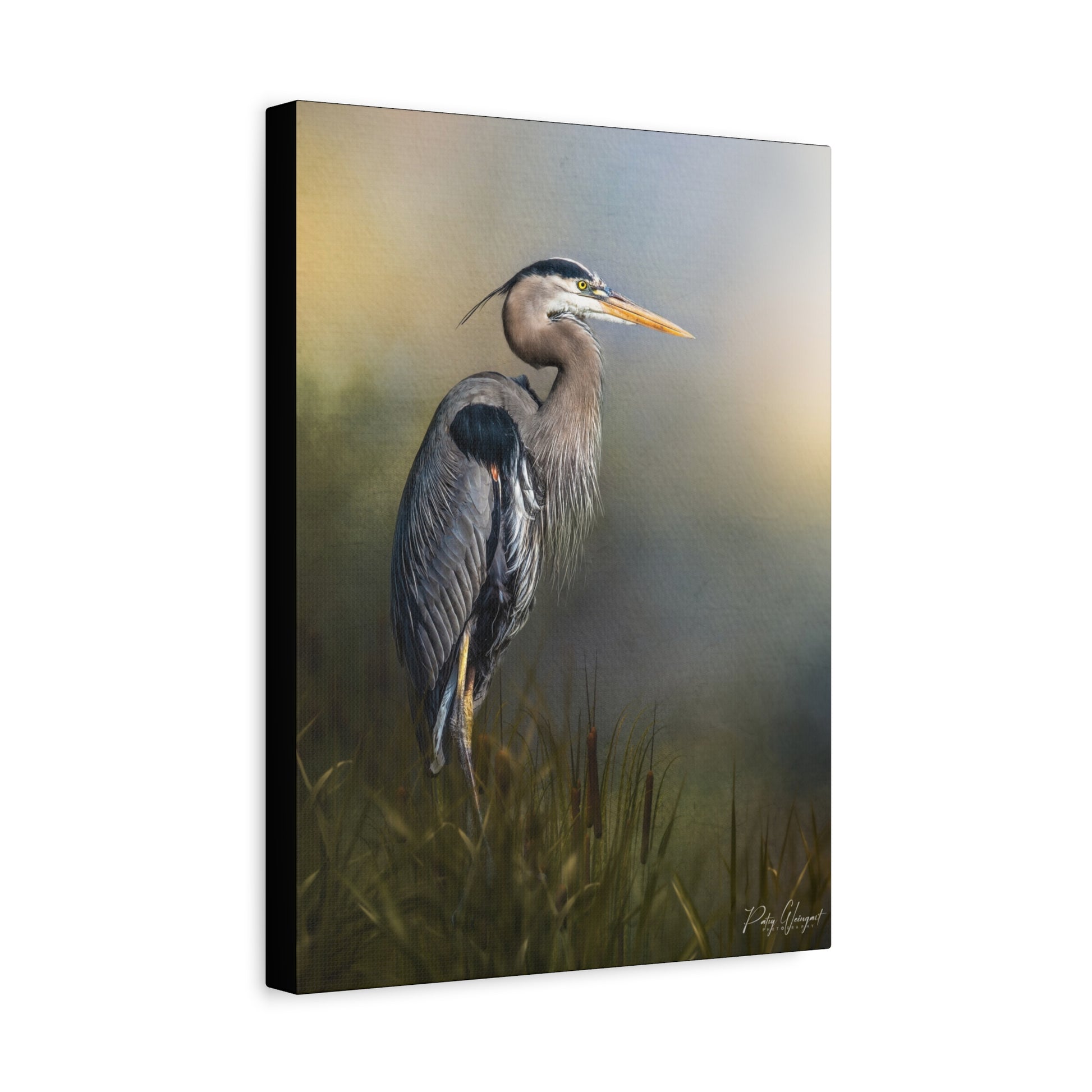 Still Among Reeds, By Photographer Patsy Weingart