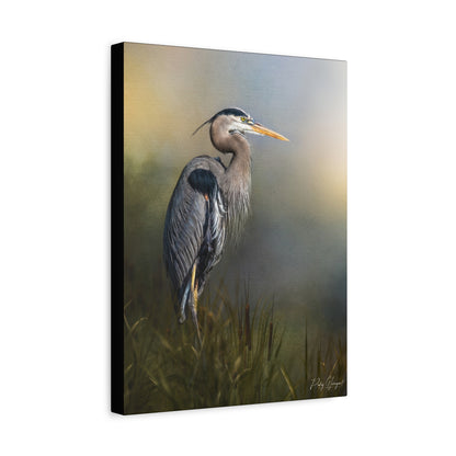 Still Among Reeds, By Photographer Patsy Weingart