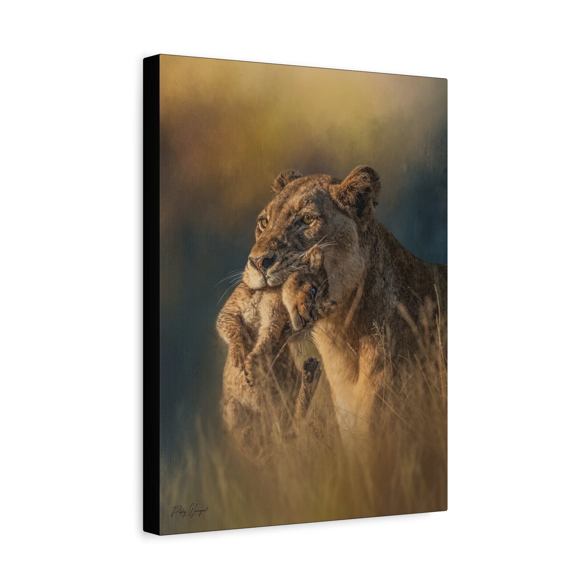 Carried in Love, By Photographer Patsy Weingart