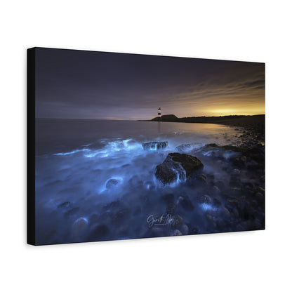 Bioluminescent Shores of Anglesey By Photographer Gareth Mon Jones