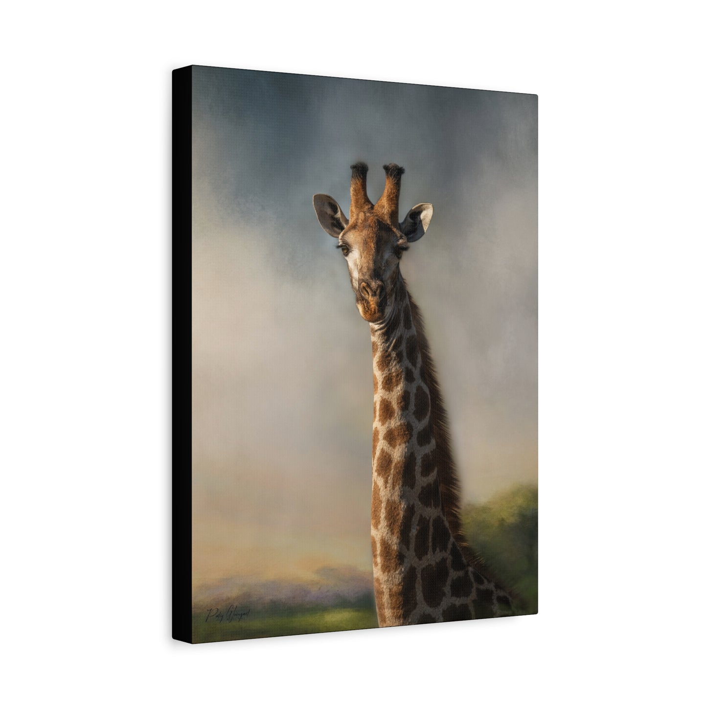 Giraffe in Pastel Light – By Photographer Patsy Weingart