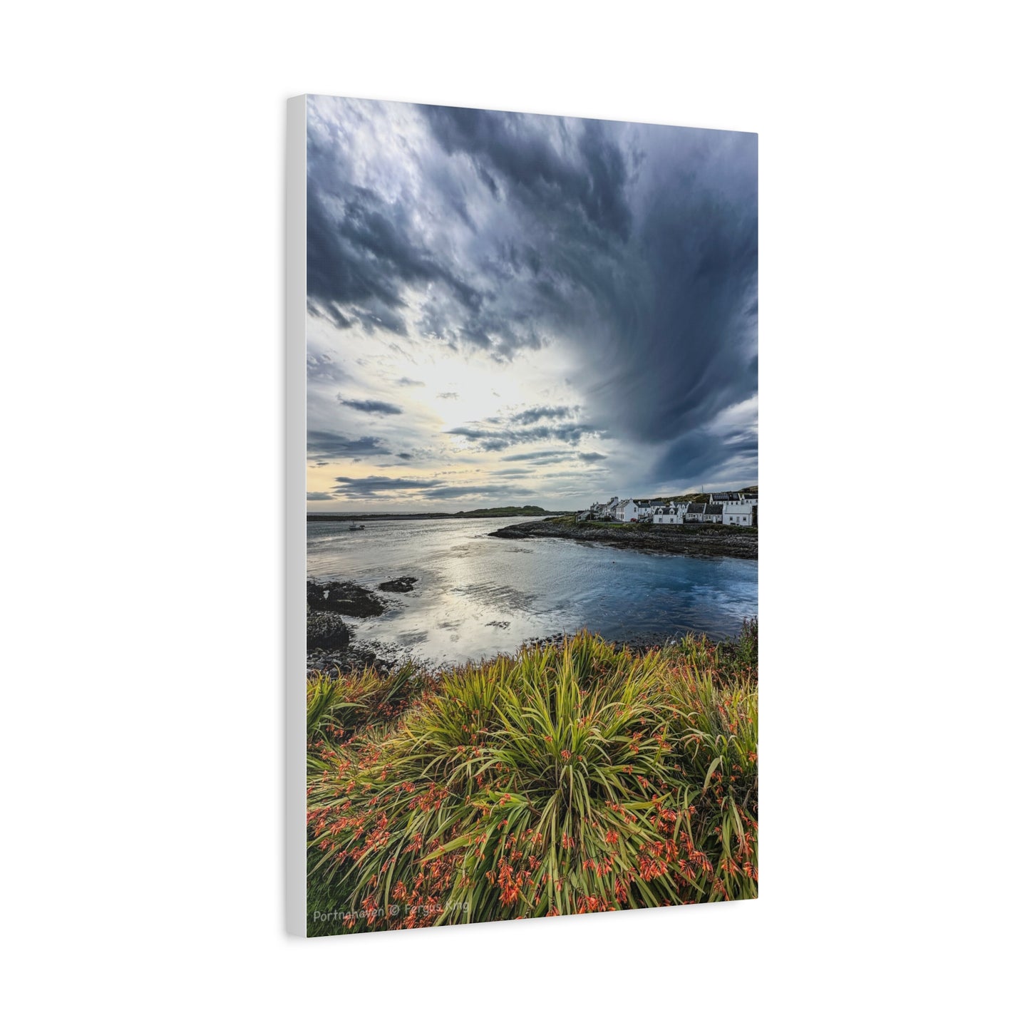 Portnahaven Canvas Print – Scottish Coastal Wall Art by Photographer Fergus King