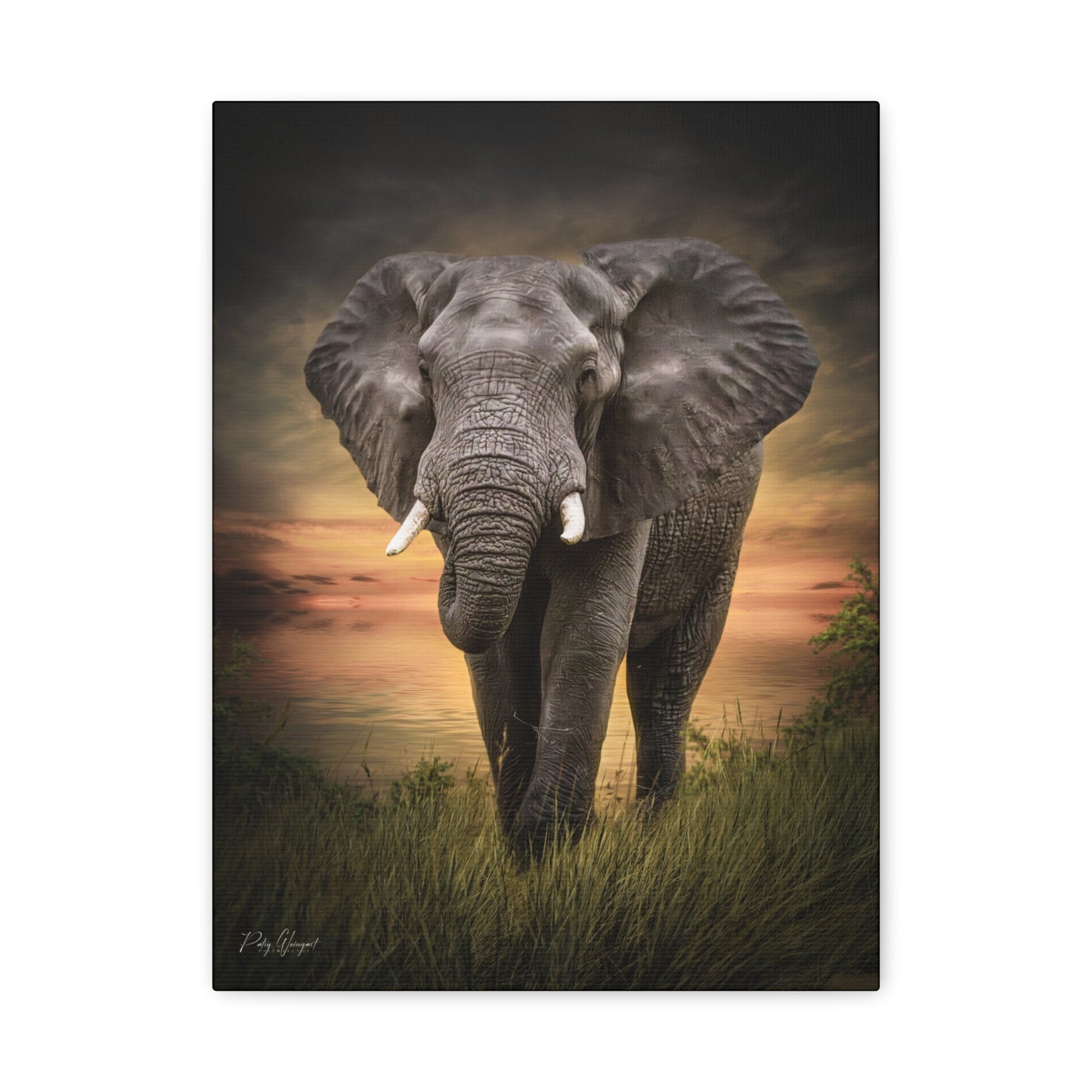 Majestic Elephant at the Water’s Edge – By Photographer Patsy Weingart