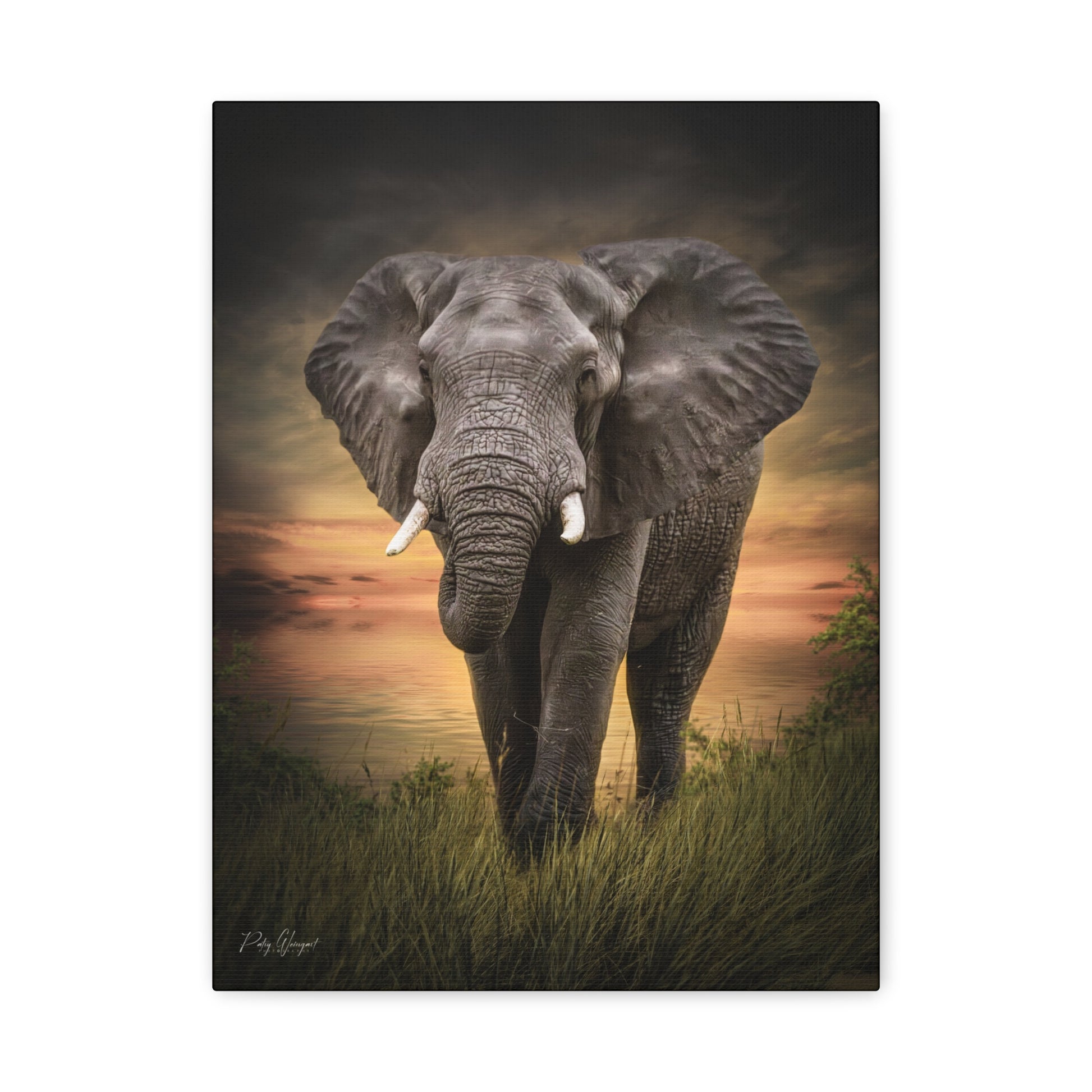 Majestic Elephant at the Water’s Edge – By Photographer Patsy Weingart