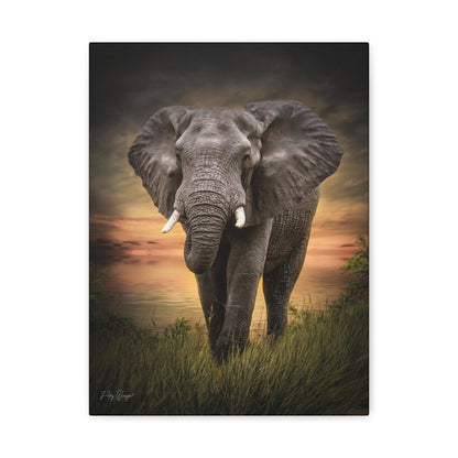 Majestic Elephant at the Water’s Edge – By Photographer Patsy Weingart