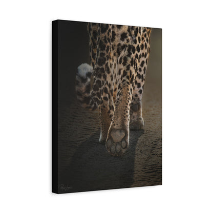 Path of the Hunter — By Photographer Patsy Weingart