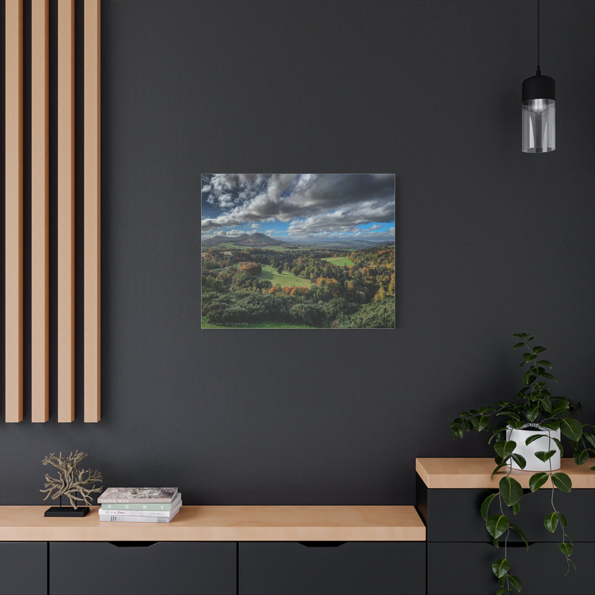 Scott’s View Canvas Print By Photographer Fergus King