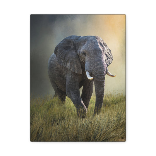 Majestic Presence – Male Elephant in Long Grass by Photographer Patsy Weingart