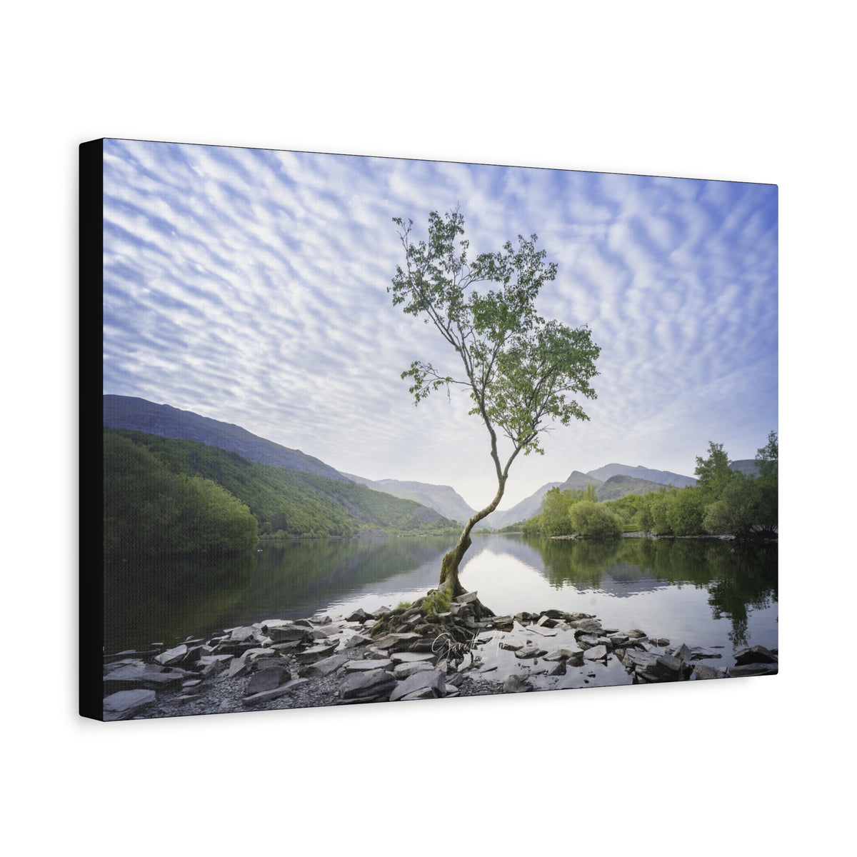 Llyn Padarn in July, Snowdonia – Lone Tree Reflections Under Summer Skies | By Photographer Gareth Mon Jones