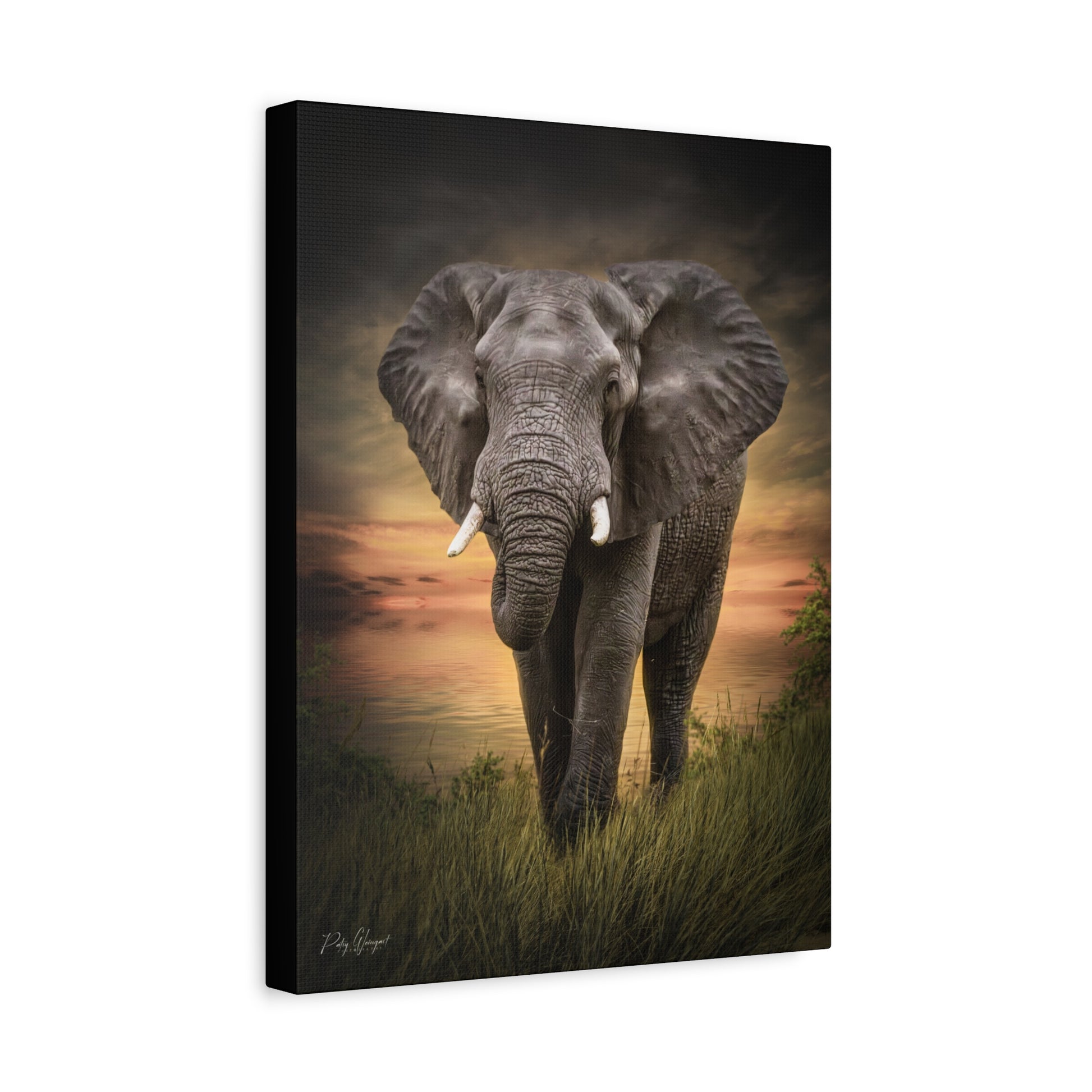 Majestic Elephant at the Water’s Edge – By Photographer Patsy Weingart