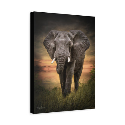 Majestic Elephant at the Water’s Edge – By Photographer Patsy Weingart