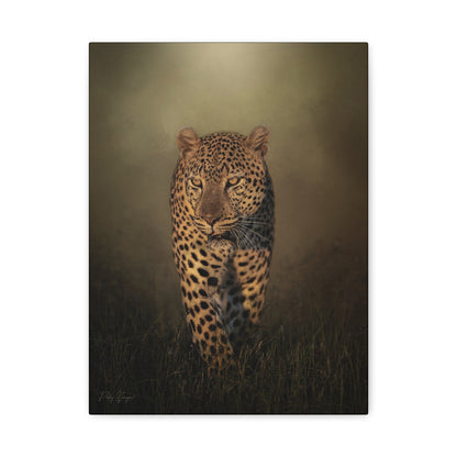 Menacing Leopard on the Path – By Photographer Patsy Weingart