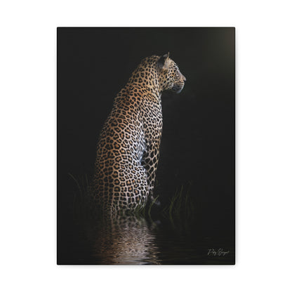 Leopard in Still Water – By Photographer Patsy Weingart
