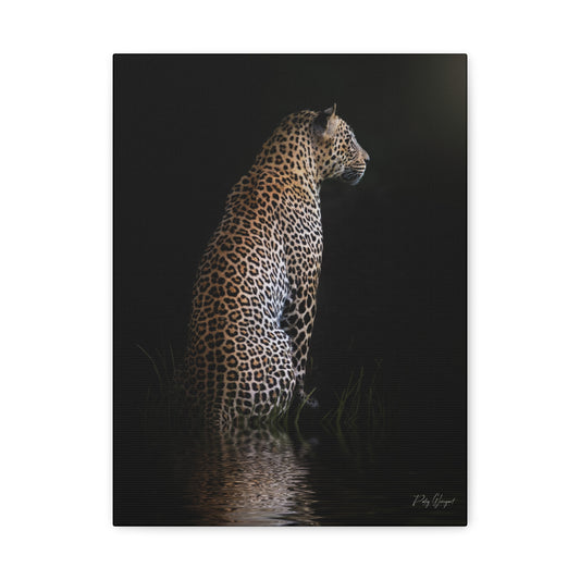 Leopard in Still Water – By Photographer Patsy Weingart