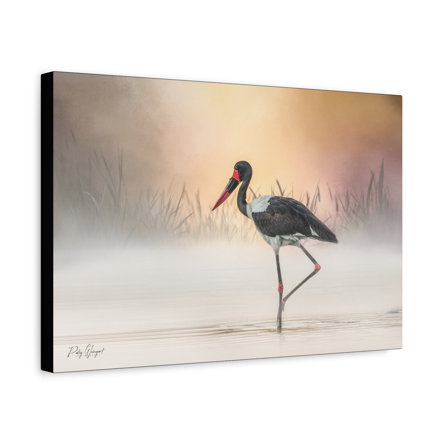 Saddle‑Billed Stork in the Mist – By Photographer Patsy Weingart