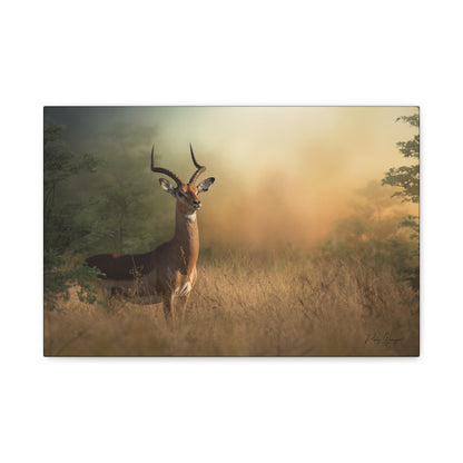 Sunlit Watcher, By Photographer Patsy Weingart