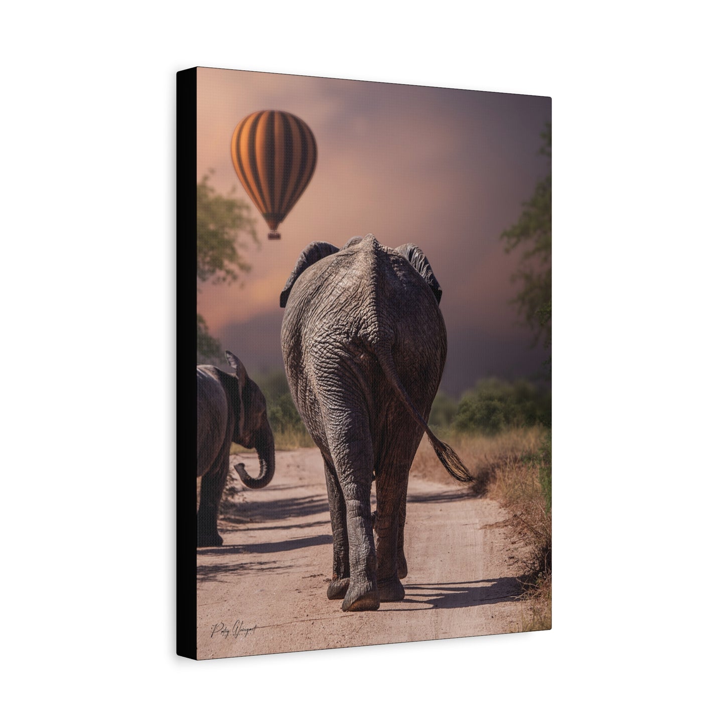 Elephants and Balloon at Dawn – By Photographer Patsy Weingart
