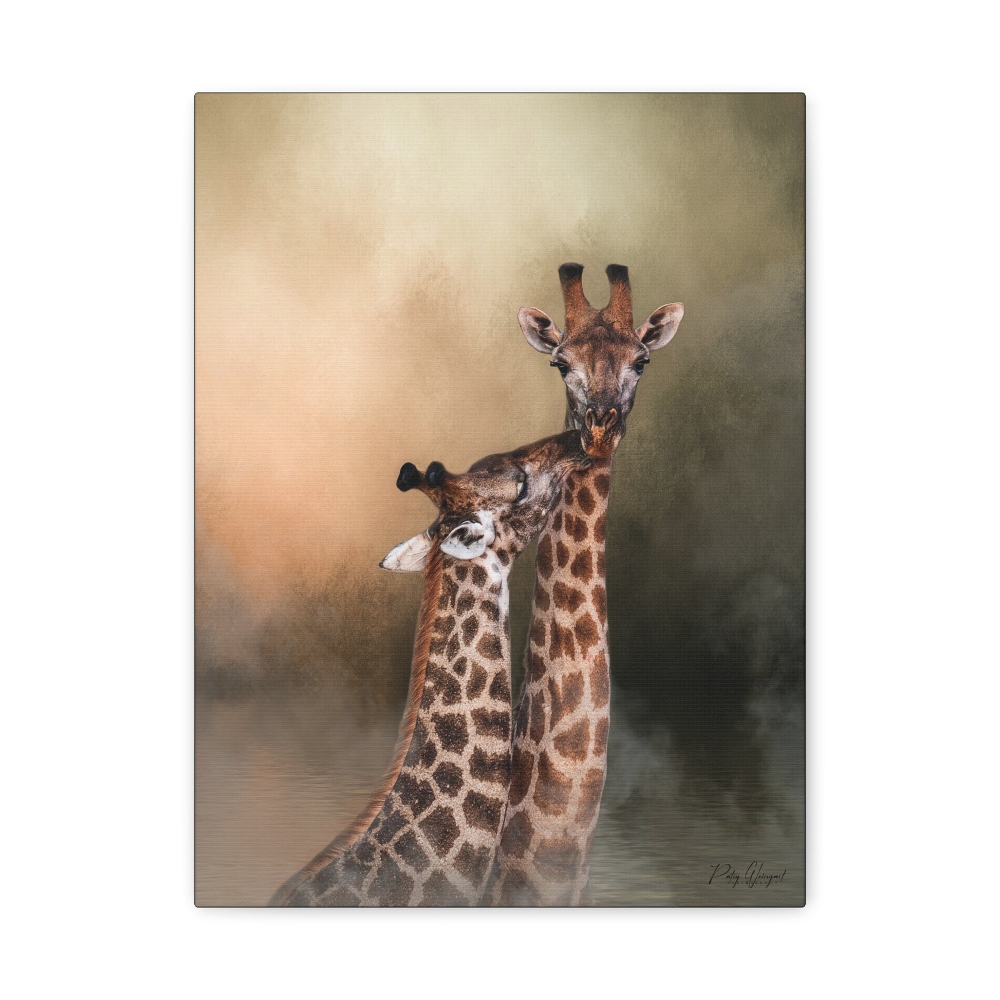 Grace at the Water’s Edge – African Giraffe Pair Canvas Print by Photographer Patsy Weingart