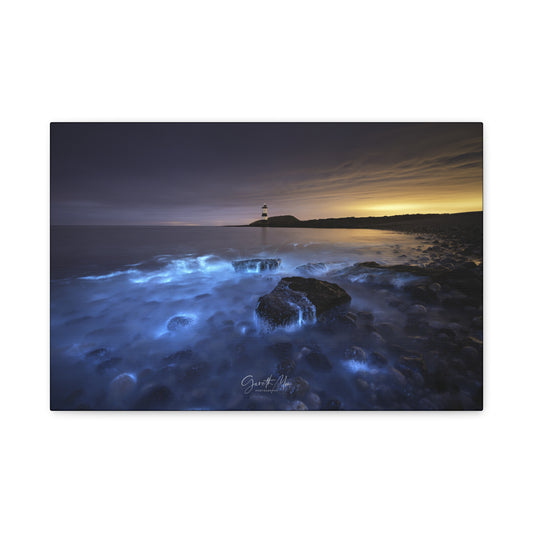 Bioluminescent Shores of Anglesey By Photographer Gareth Mon Jones