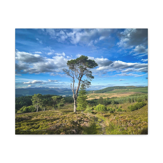 Kenmore Hill Canvas Print – By Photographer Fergus King | Scottish Highlands Landscape Wall Art
