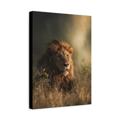 Embers of the Grassland – Sunset Lion by Photographer Patsy Weingart
