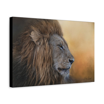 The Watchful King – Close‑Up Male Lion by Photographer Patsy Weingart