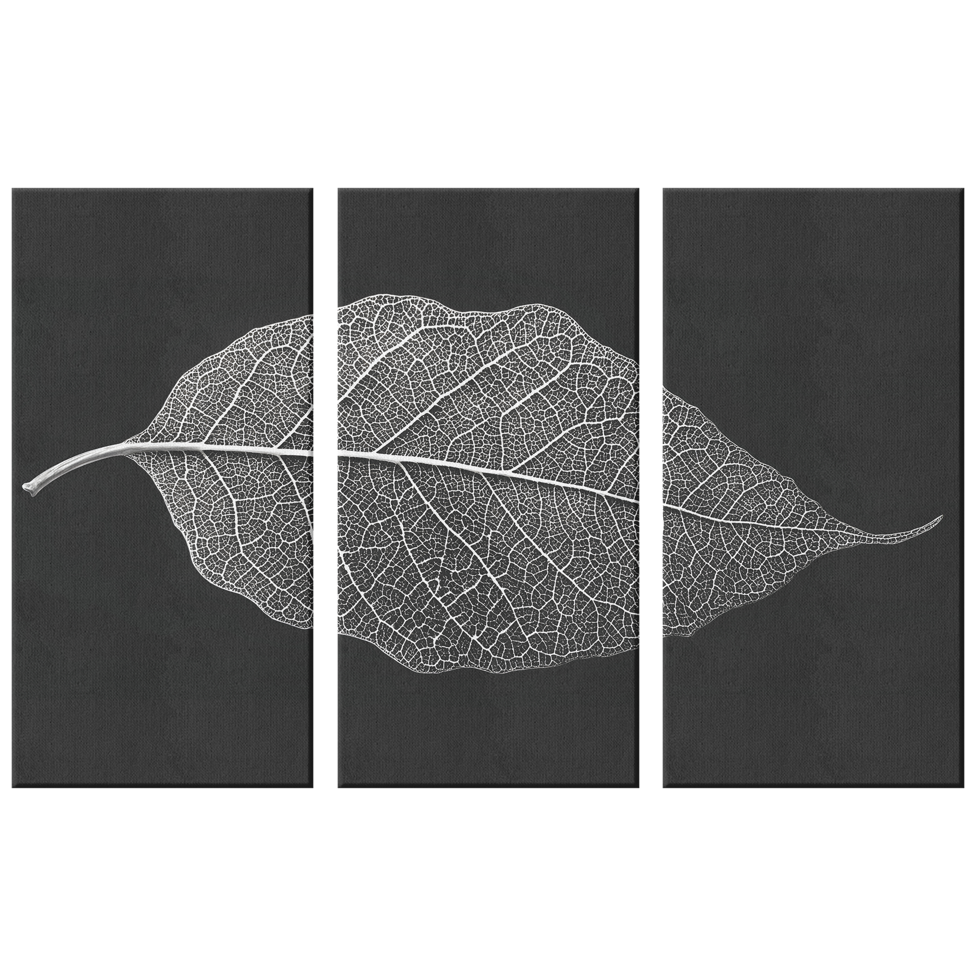 Simple 3 Pieces Leaf Art Canvas