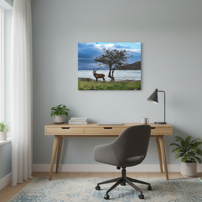 Applecross Stag Canvas Print – By Photographer Fergus King