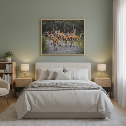 Ardaneaskan Canvas Print – Scottish Wildlife Wall Art by Photographer Fergus King