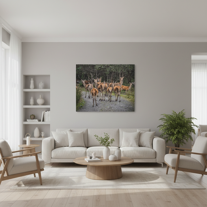 Ardaneaskan Canvas Print – Scottish Wildlife Wall Art by Photographer Fergus King